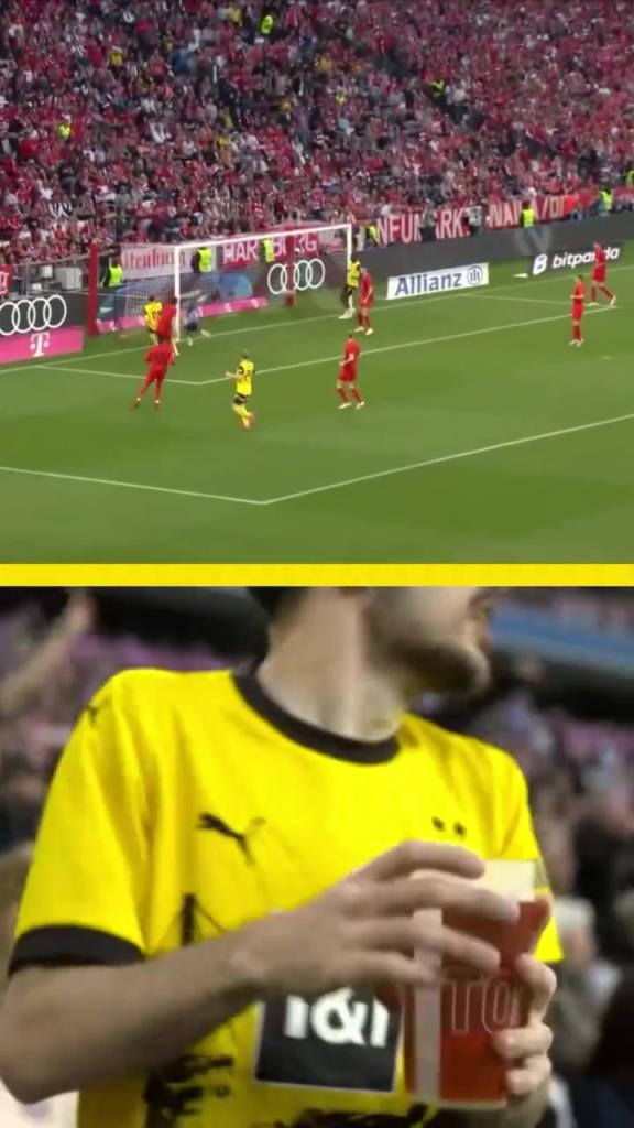 勇者無懼！這是真多特球迷！在拜仁球迷區一個人肆意慶祝！